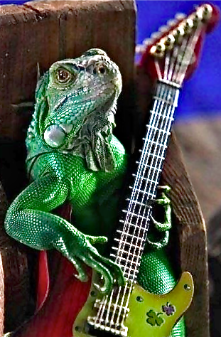 lizard-with-guitar.png